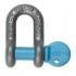 D-Shackle 8mm - Galvanised